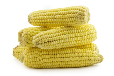 Similar image 1596669