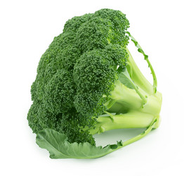 Similar image 1596673