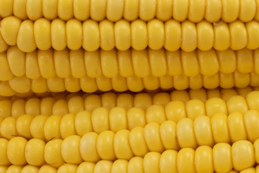 Similar image 1596678