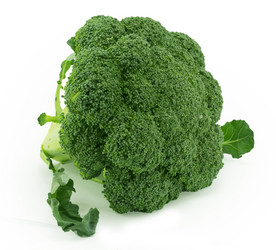 Similar image 1596692