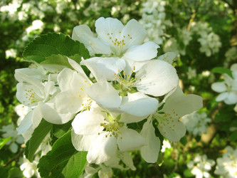 Similar image 1596709