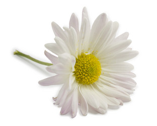 Similar image 1596711