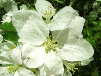 Similar image 1596717