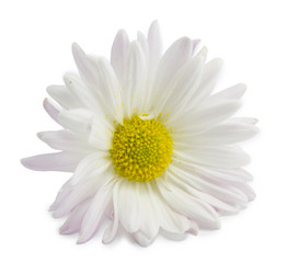 Similar image 1596716