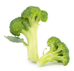 Similar image 1596735