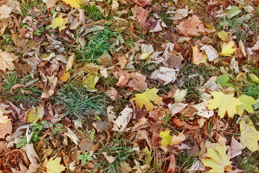 Similar image 1596741