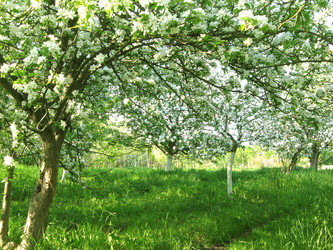 Similar image 1596742