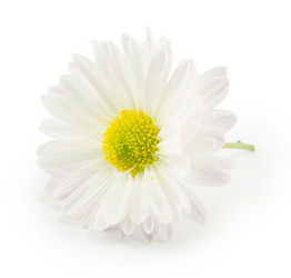 Similar image 1596746