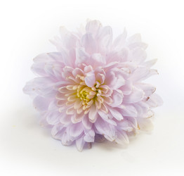 Similar image 1596748