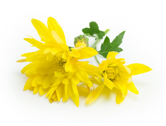 Similar image 1596750