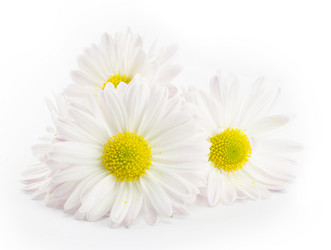 Similar image 1596755