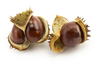 Similar image 1596814