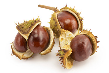 Similar image 1596819