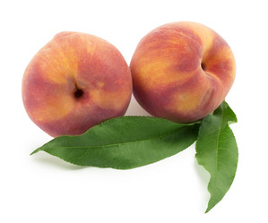 Similar image 1596853