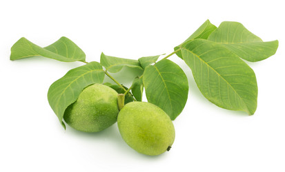 Similar image 1596860