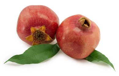 Similar image 1596873