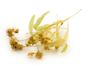 Similar image 1596877