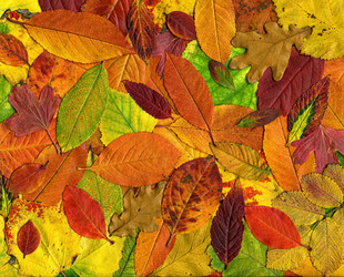 Similar image 1596879