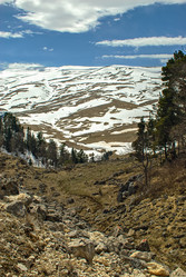 Similar image 1596880