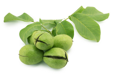 Similar image 1596885