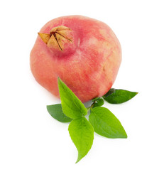 Similar image 1596886