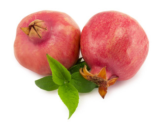 Similar image 1596887