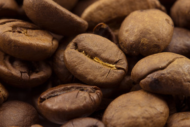 Similar image 1596889