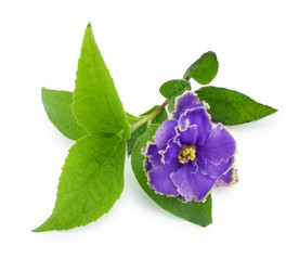 Similar image 1596891