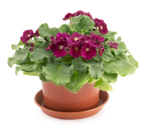 Similar image 1596892