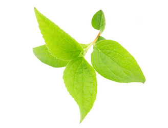 Similar image 1596895