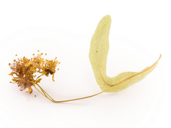 Similar image 1596896