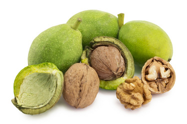 Similar image 1596903