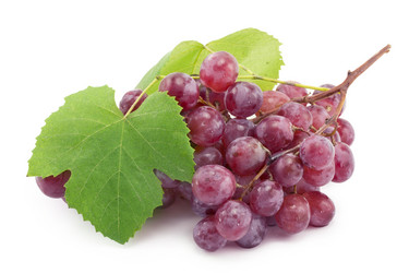 Similar image 1596920