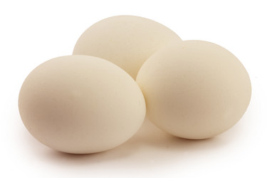 Similar image 1596937