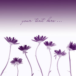 Similar image 1597090