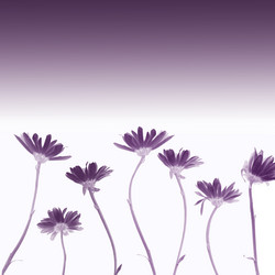 Similar image 1597094