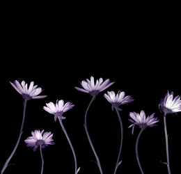 Similar image 1597111