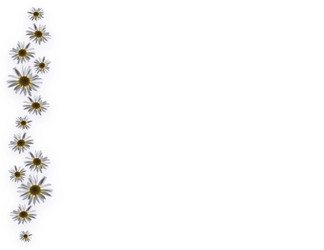 Similar image 1597125