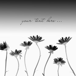 Similar image 1597135