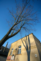 Similar image 1597225