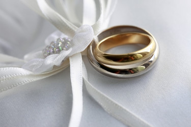 Similar image 1597246