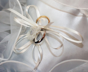 Similar image 1597253