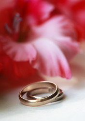 Similar image 1597305