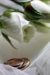 Similar image 1597307