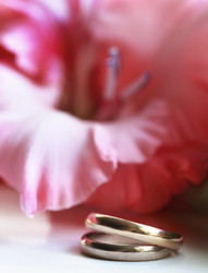 Similar image 1597313