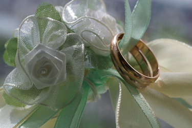 Similar image 1597321