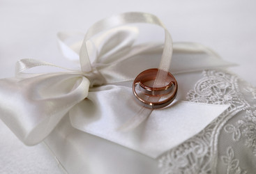 Similar image 1597330