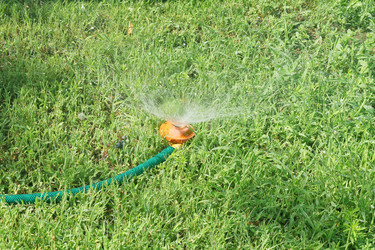 Similar image 1597404