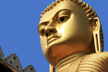 Similar image 1597408