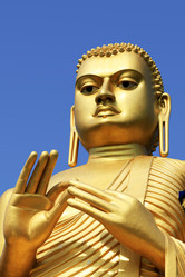 Similar image 1597429